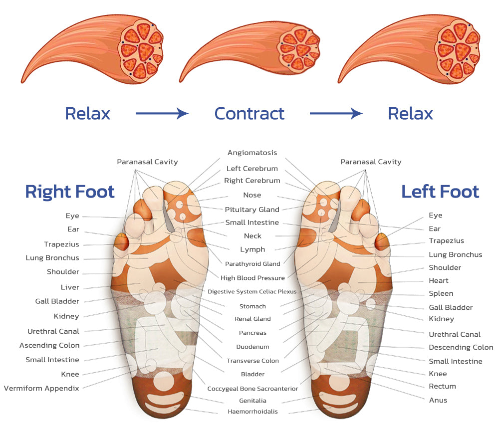 EMS FOOT MASSAGER MAT l Improve health pain relief | Relieve pressure on legs