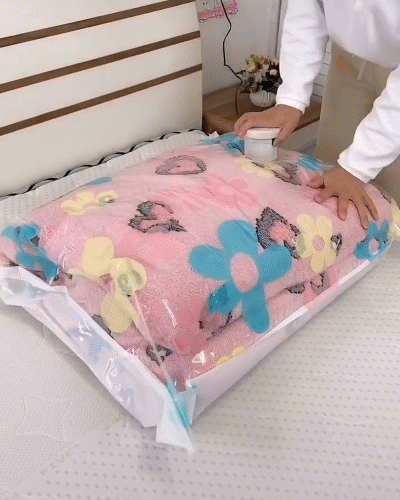 Vacuum Storage Sealer Bag & Electric Pump