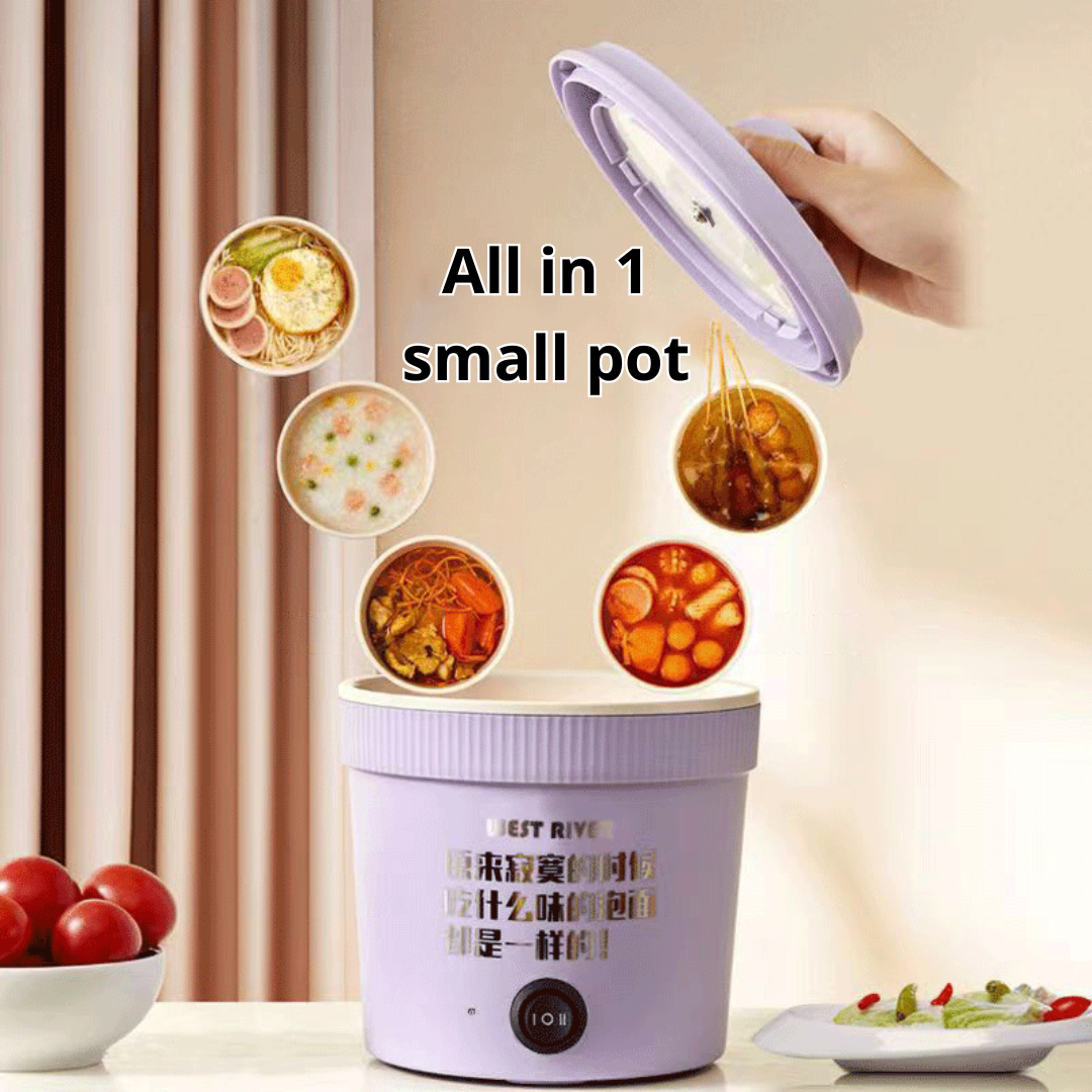 Multi-functional Mini Electric Cooker