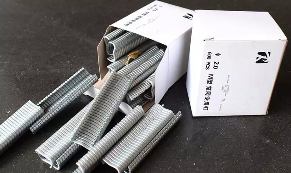 BOX M NAIL